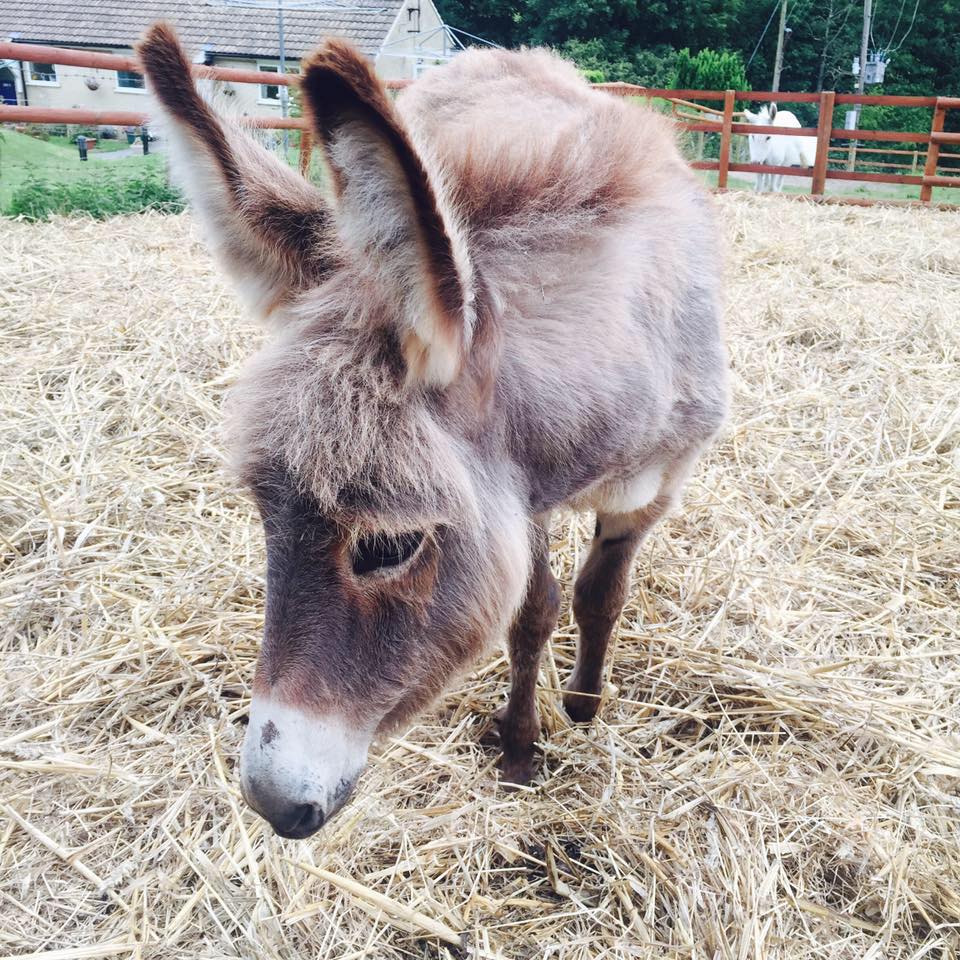 309207304_466203265549000_9073286209223774790_n 309207304_466203265549000_9073286209223774790_n